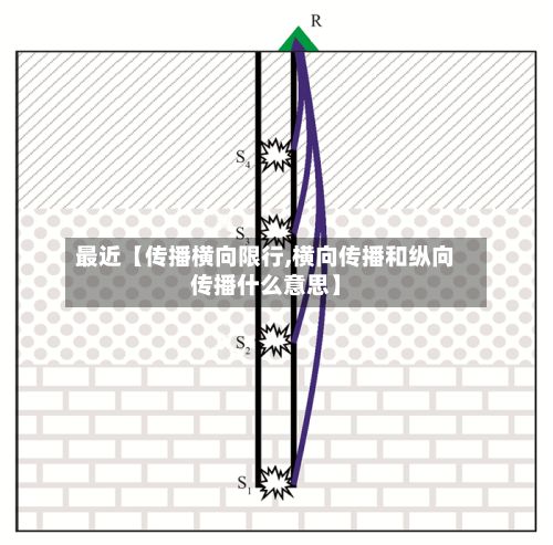 最近【传播横向限行,横向传播和纵向传播什么意思】
