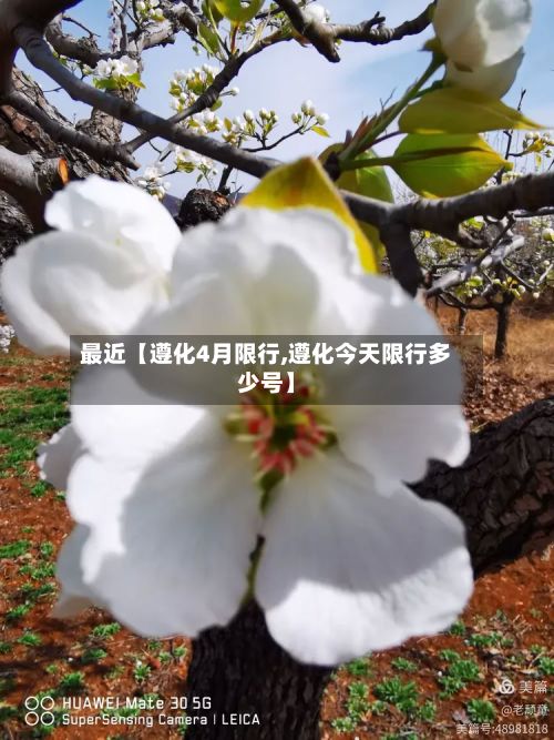 最近【遵化4月限行,遵化今天限行多少号】