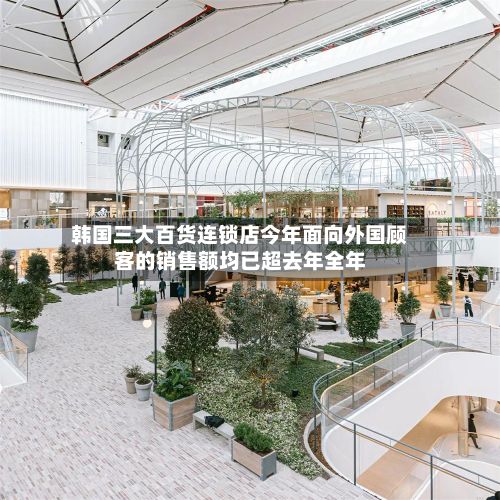 韩国三大百货连锁店今年面向外国顾客的销售额均已超去年全年-第3张图片