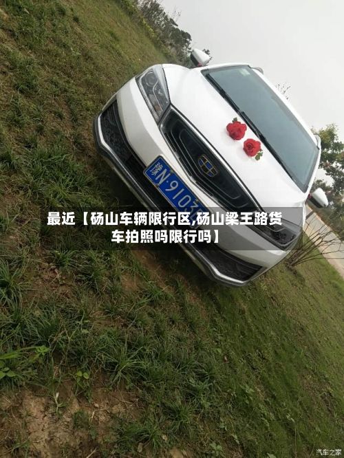 最近【砀山车辆限行区,砀山梁王路货车拍照吗限行吗】-第3张图片