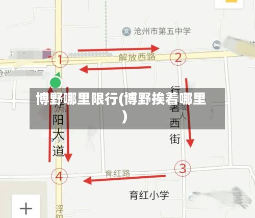 博野哪里限行(博野挨着哪里)-第2张图片