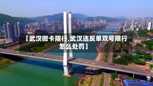 【武汉微卡限行,武汉违反单双号限行怎么处罚】-第3张图片