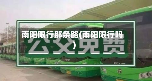 南阳限行那条路(南阳限行吗)