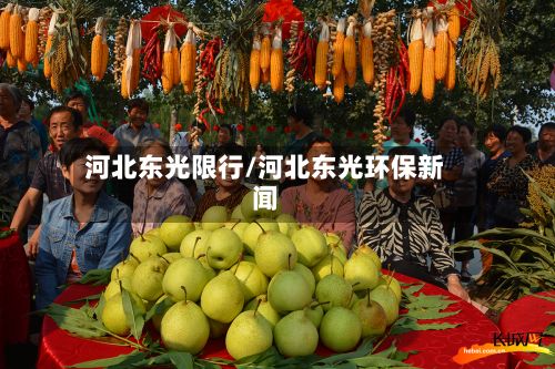 河北东光限行/河北东光环保新闻-第2张图片