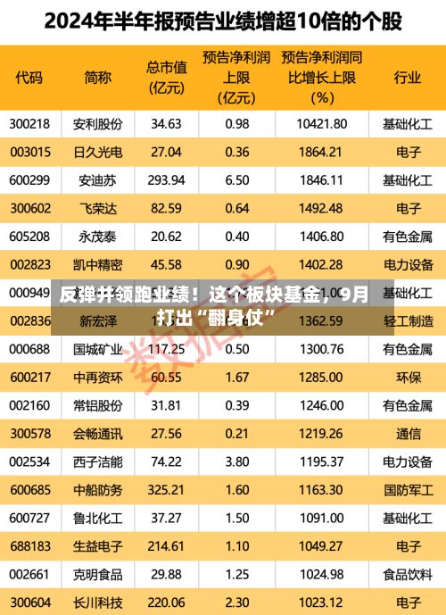 反弹并领跑业绩！这个板块基金，9月打出“翻身仗”-第2张图片