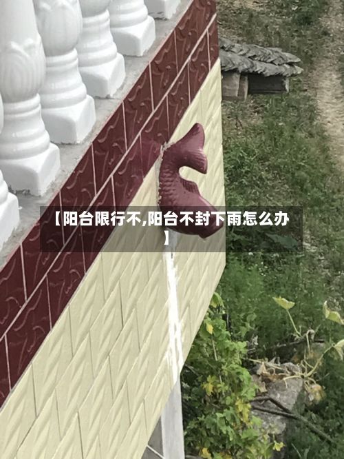 【阳台限行不,阳台不封下雨怎么办】-第2张图片
