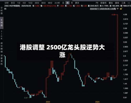 港股调整 2500亿龙头股逆势大涨