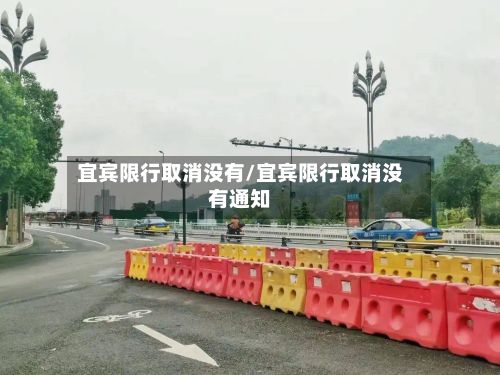 宜宾限行取消没有/宜宾限行取消没有通知-第2张图片