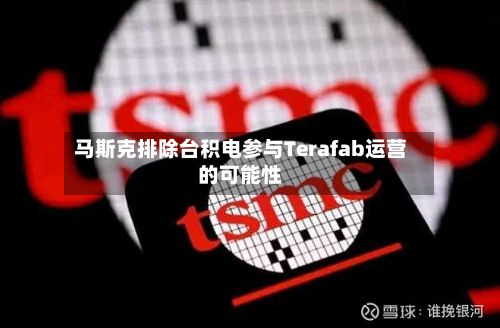 马斯克排除台积电参与Terafab运营的可能性-第3张图片