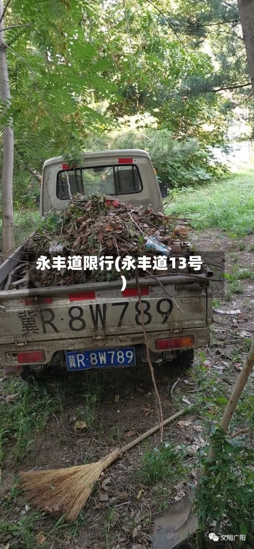 永丰道限行(永丰道13号)-第3张图片