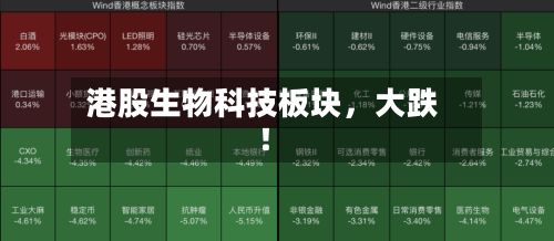 港股生物科技板块，大跌！