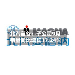 北汽蓝谷：子公司9月销量同比增长17.24%-第1张图片