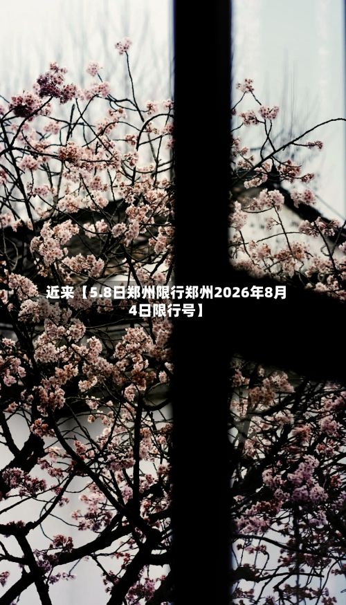 近来【5.8日郑州限行郑州2026年8月4日限行号】