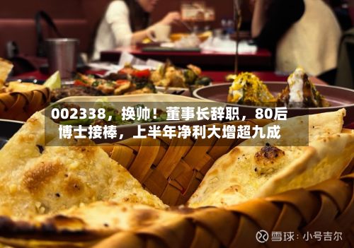 002338	，换帅！董事长辞职，80后博士接棒，上半年净利大增超九成-第2张图片