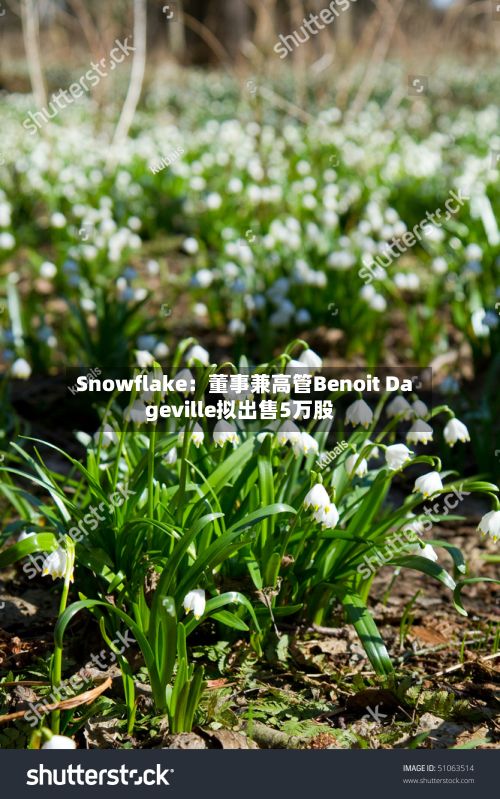 Snowflake：董事兼高管Benoit Dageville拟出售5万股-第3张图片