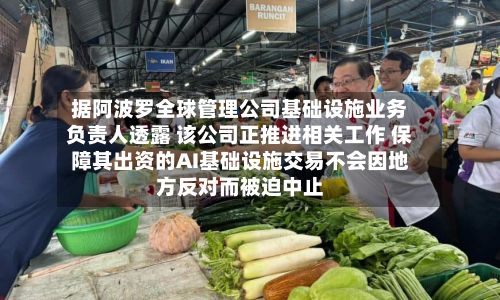 据阿波罗全球管理公司基础设施业务负责人透露 该公司正推进相关工作 保障其出资的AI基础设施交易不会因地方反对而被迫中止