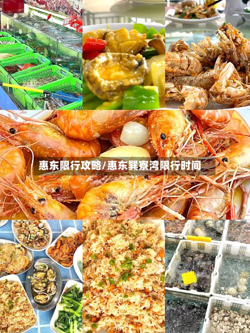 惠东限行攻略/惠东巽寮湾限行时间