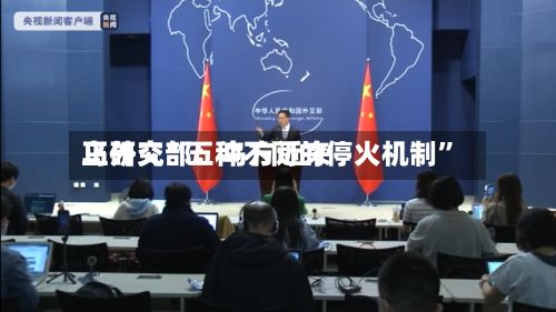 乌外交部：乌方近来正研究“五种不同的停火机制”-第2张图片