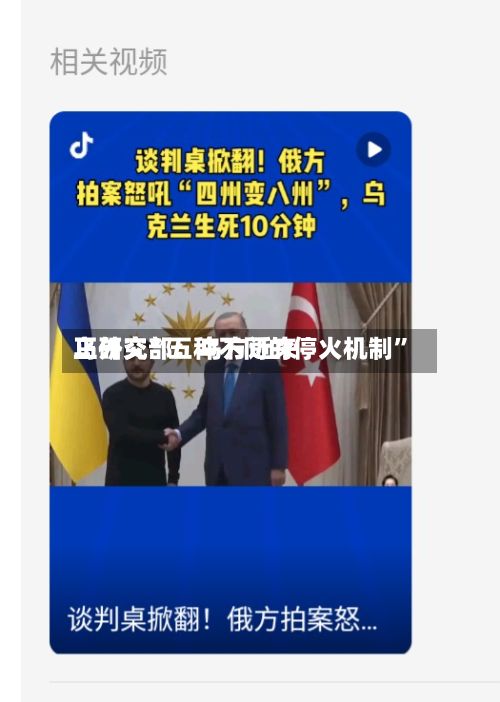 乌外交部：乌方近来正研究“五种不同的停火机制”-第3张图片