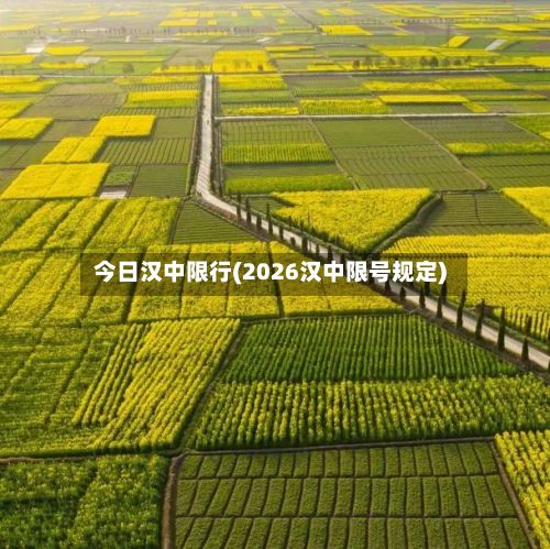 今日汉中限行(2026汉中限号规定)-第2张图片