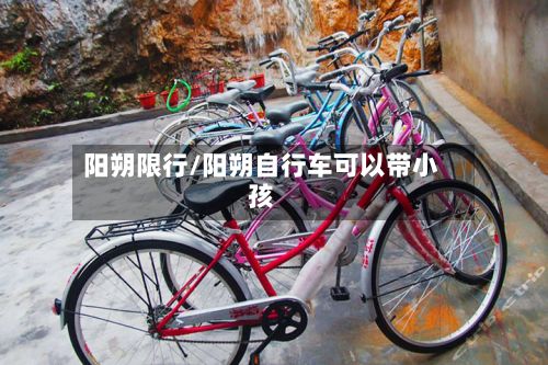 阳朔限行/阳朔自行车可以带小孩-第3张图片