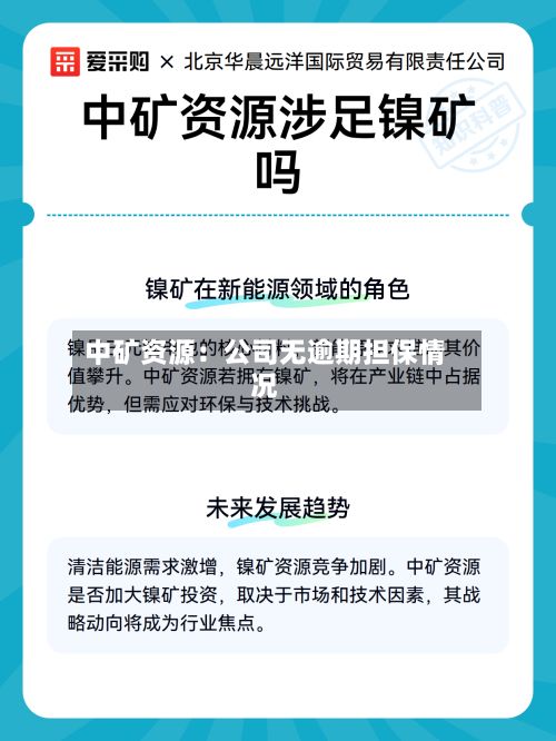 中矿资源：公司无逾期担保情况