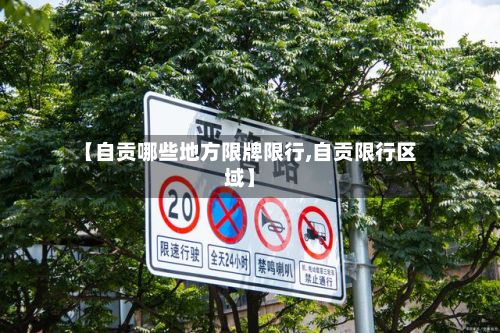 【自贡哪些地方限牌限行,自贡限行区域】-第2张图片