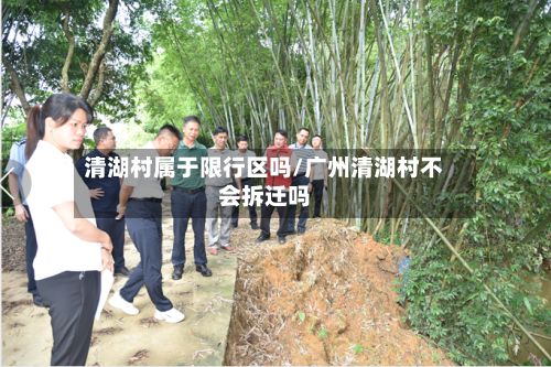 清湖村属于限行区吗/广州清湖村不会拆迁吗