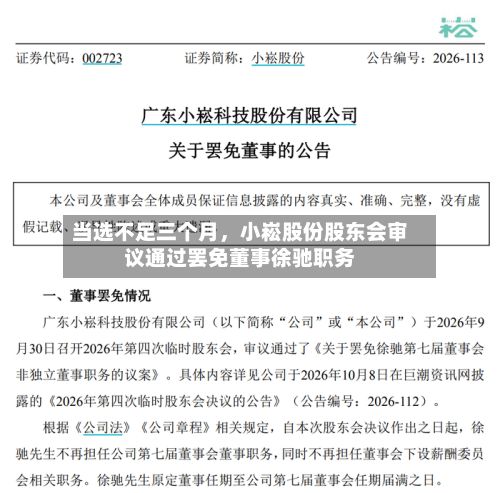当选不足三个月，小崧股份股东会审议通过罢免董事徐驰职务