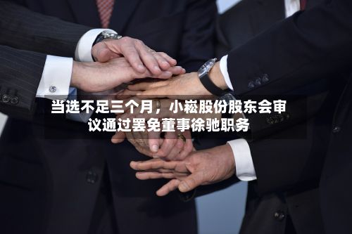当选不足三个月，小崧股份股东会审议通过罢免董事徐驰职务-第3张图片
