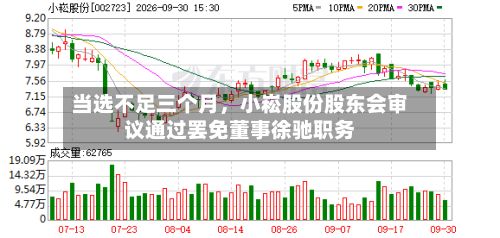 当选不足三个月	，小崧股份股东会审议通过罢免董事徐驰职务-第2张图片