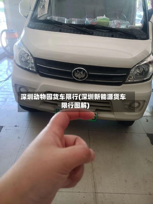 深圳动物园货车限行(深圳新能源货车限行图解)-第2张图片