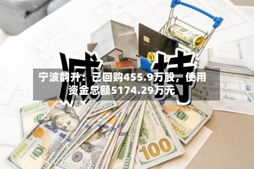 宁波韵升：已回购455.9万股，使用资金总额5174.29万元-第2张图片