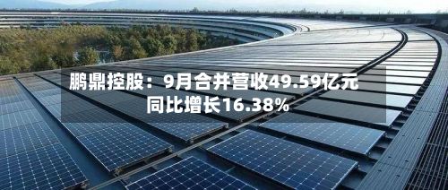 鹏鼎控股：9月合并营收49.59亿元 同比增长16.38%-第3张图片
