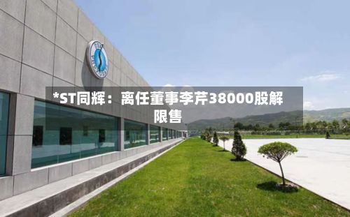 *ST同辉：离任董事李芹38000股解限售-第1张图片
