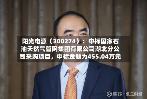 阳光电源（300274）：中标国家石油天然气管网集团有限公司湖北分公司采购项目，中标金额为455.04万元-第3张图片