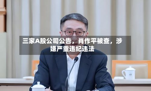 三家A股公司公告，肖作平被查	，涉嫌严重违纪违法-第2张图片