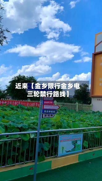 近来【金乡限行金乡电三轮禁行路线】-第2张图片