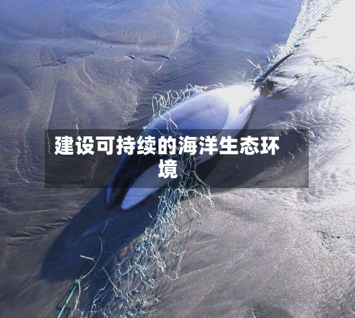 建设可持续的海洋生态环境