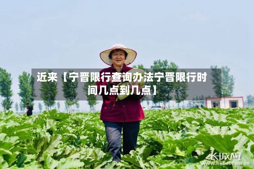 近来【宁晋限行查询办法宁晋限行时间几点到几点】-第2张图片