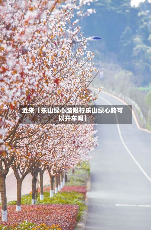 近来【乐山绿心路限行乐山绿心路可以开车吗】-第2张图片