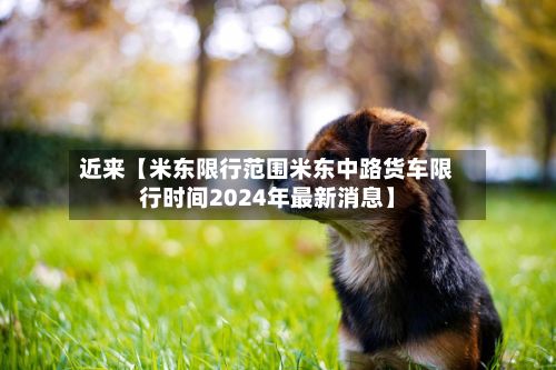 近来【米东限行范围米东中路货车限行时间2024年最新消息】-第2张图片
