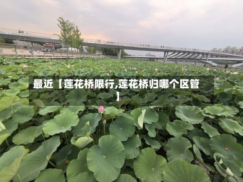 最近【莲花桥限行,莲花桥归哪个区管】