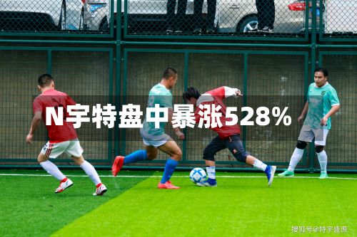 N宇特盘中暴涨528%