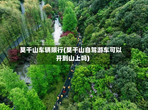 莫干山车辆限行(莫干山自驾游车可以开到山上吗)