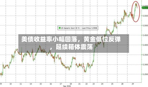 美债收益率小幅回落，黄金低位反弹，延续箱体震荡