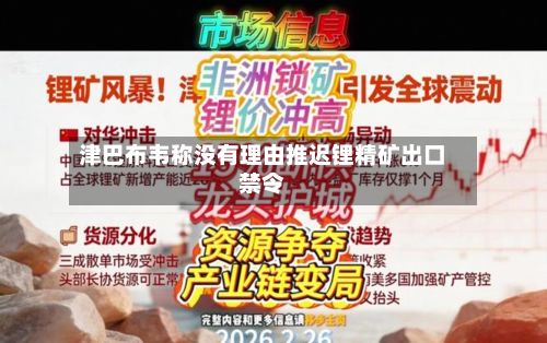 津巴布韦称没有理由推迟锂精矿出口禁令
