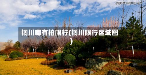 铜川哪有拍限行(铜川限行区域图)