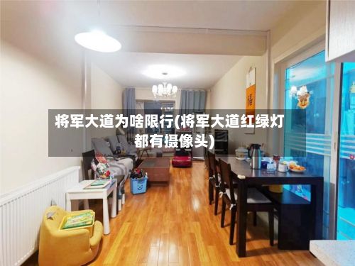 将军大道为啥限行(将军大道红绿灯都有摄像头)