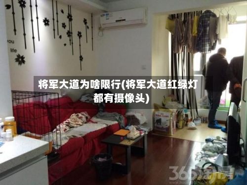 将军大道为啥限行(将军大道红绿灯都有摄像头)-第3张图片